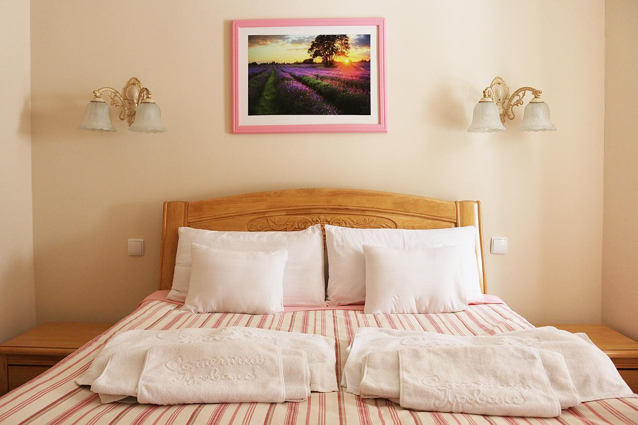 Vitapark Sonyachnyy Provans Satanov Luaran gambar